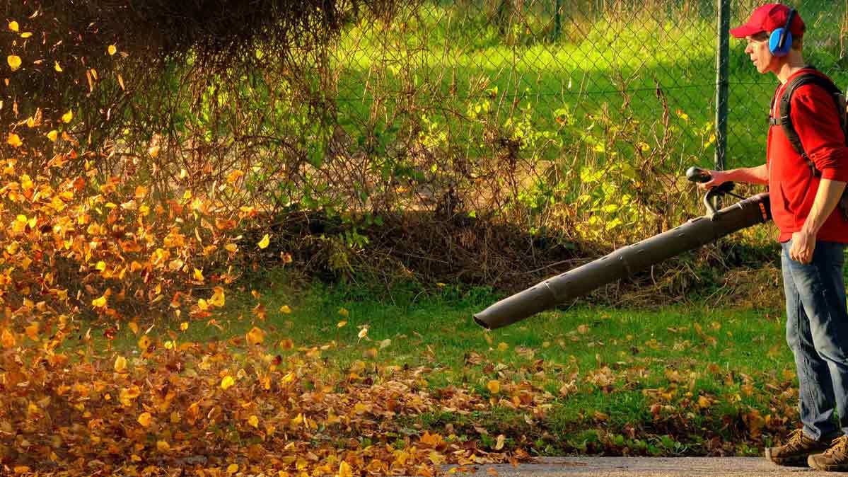 What is a fall lawn cleanup?